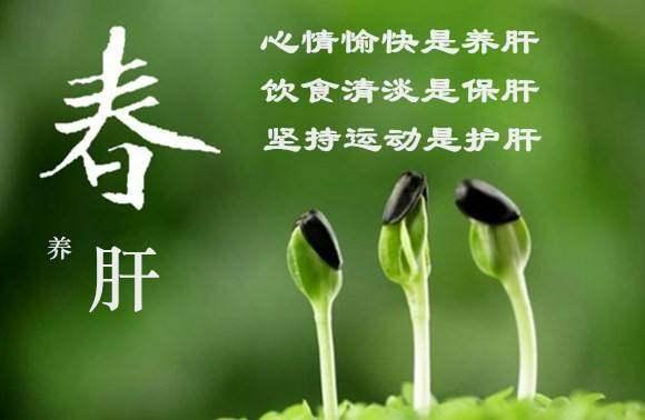 春分养生|春分将至,这些春季养生知识你要知道!(图3) 春分养生|春分将至,这些春季养生知识你要知道!(图3)