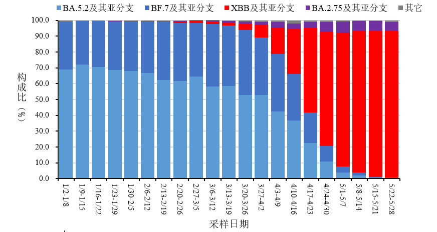 中疾控:XBB及其亚分支占比增长到92.4%,疫情呈下降趋势(图5) 中疾控:XBB及其亚分支占比增长到92.4%,疫情呈下降趋势(图5)